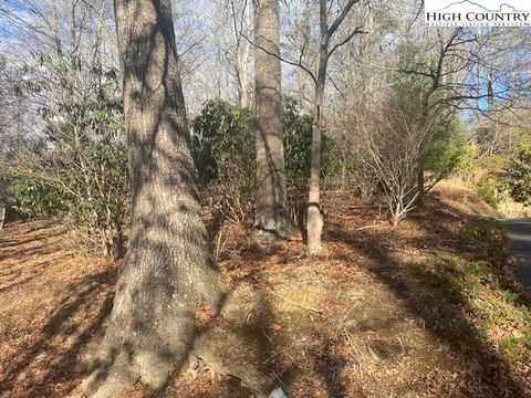 Photo of 106 Laurel Drive, Boone, NC 28607 (MLS # 247274)