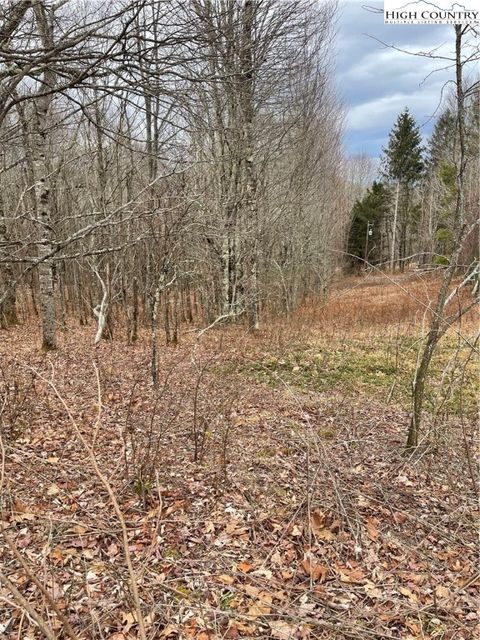 Photo of TBD Old Mountain Road, Banner Elk, NC 28604 (MLS # 259587)