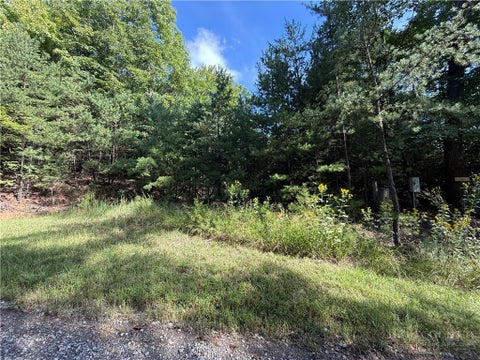 Photo of Lot 24 Wolf Pen Road, Purlear, NC 28665 (MLS # 264310)