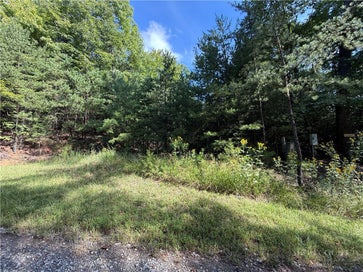Lot 24 Wolf Pen Road Purlear NC 28665