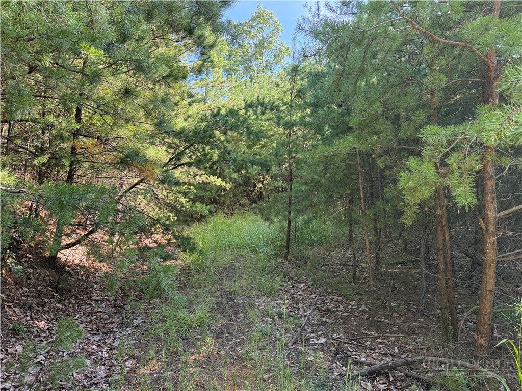 Lot 24 Wolf Pen Road
