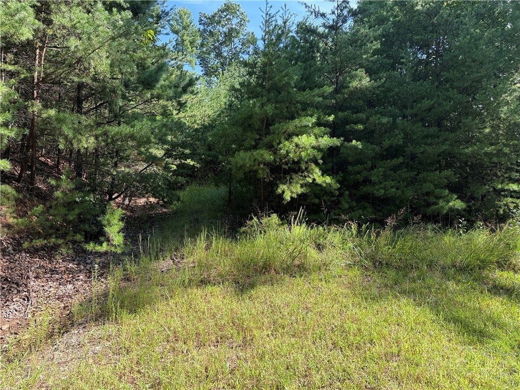 Lot 24 Wolf Pen Road