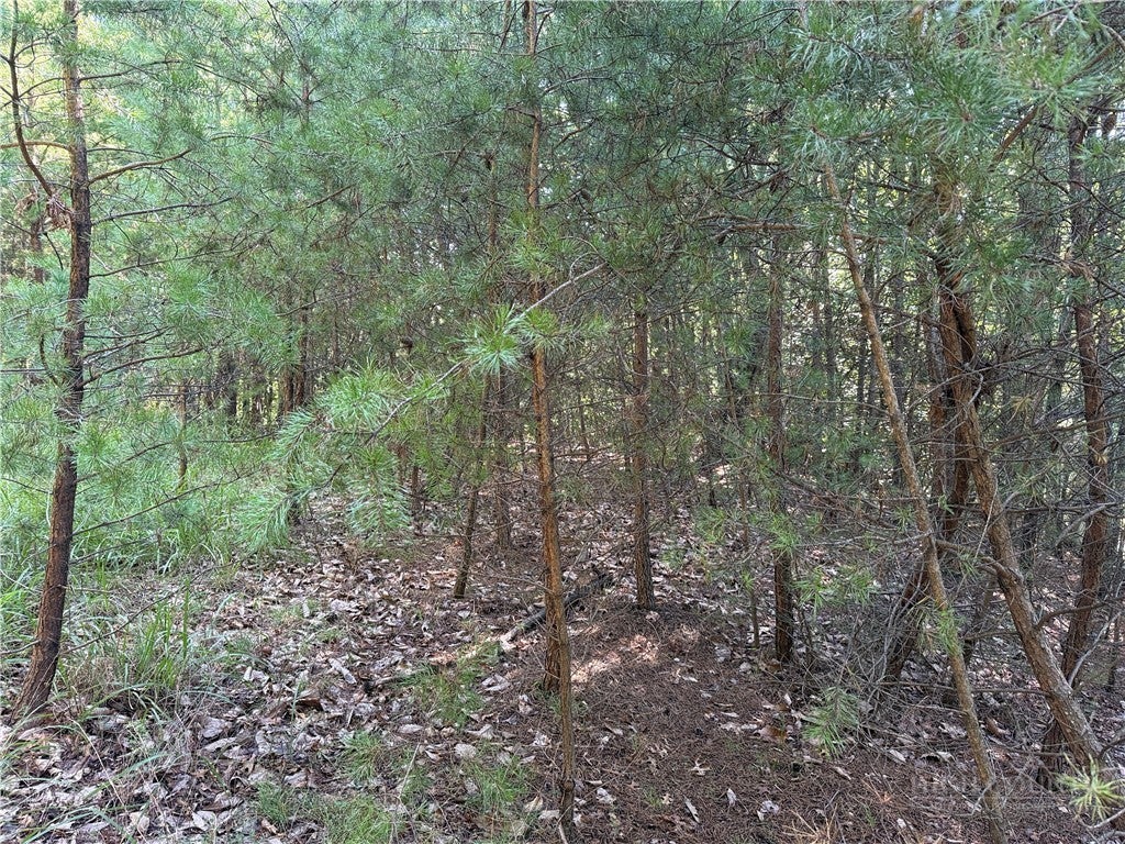 Lot 24 Wolf Pen Road