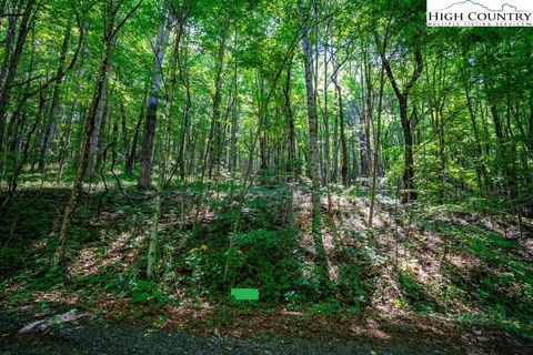 Photo of Lot 37 Marta Lane, Zionville, NC 28698 (MLS # 239348)