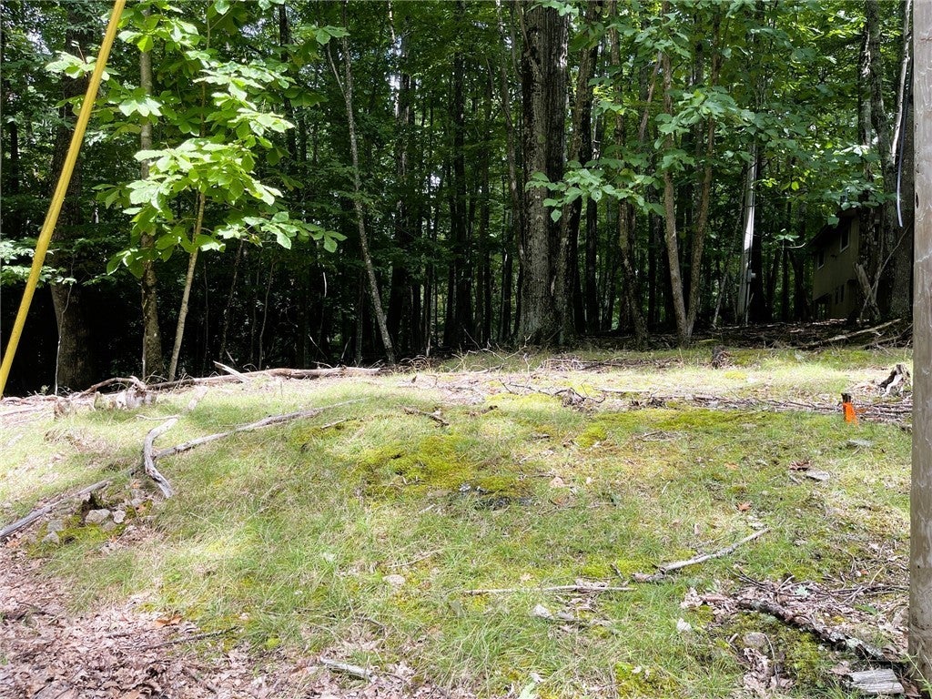 104 North Hickory Lane