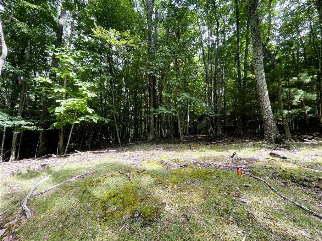 104 North Hickory Lane