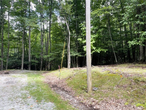 Photo of 104 North Hickory Lane LN, Beech Mountain, NC 28604 (MLS # 264189)