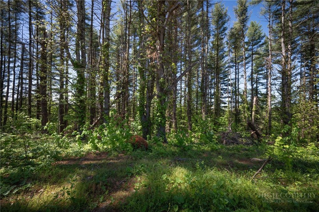 Photo of WR 64 Clouds Rest Drive, Banner Elk, NC 28604 (MLS # 261584)