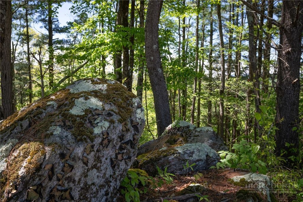 Photo of WR 64 Clouds Rest Drive, Banner Elk, NC 28604 (MLS # 261584)