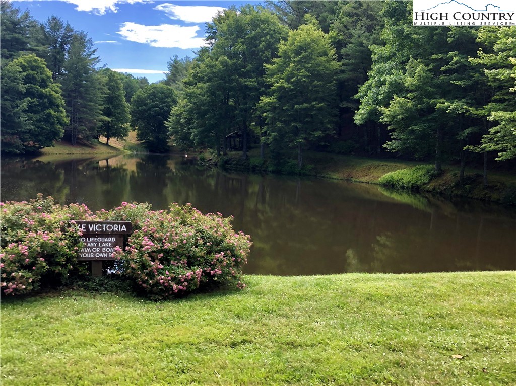 Vilas, North Carolina 28692, United States, ,Land,Active,67807