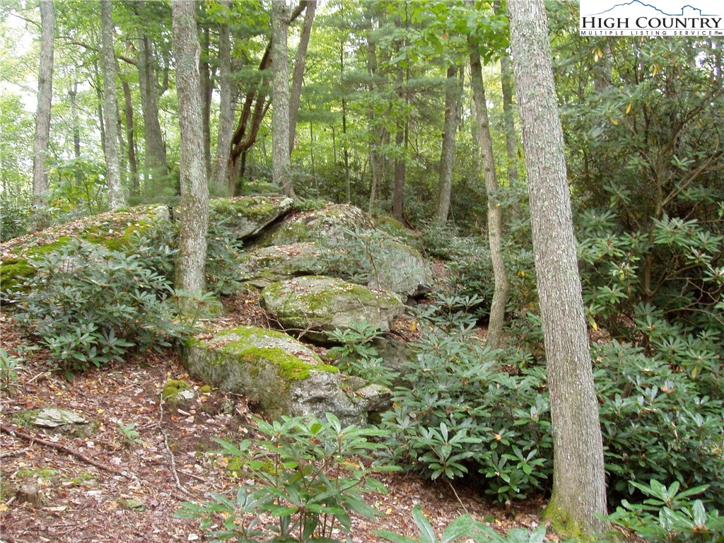 Vilas, North Carolina 28692, United States, ,Land,Active,67807