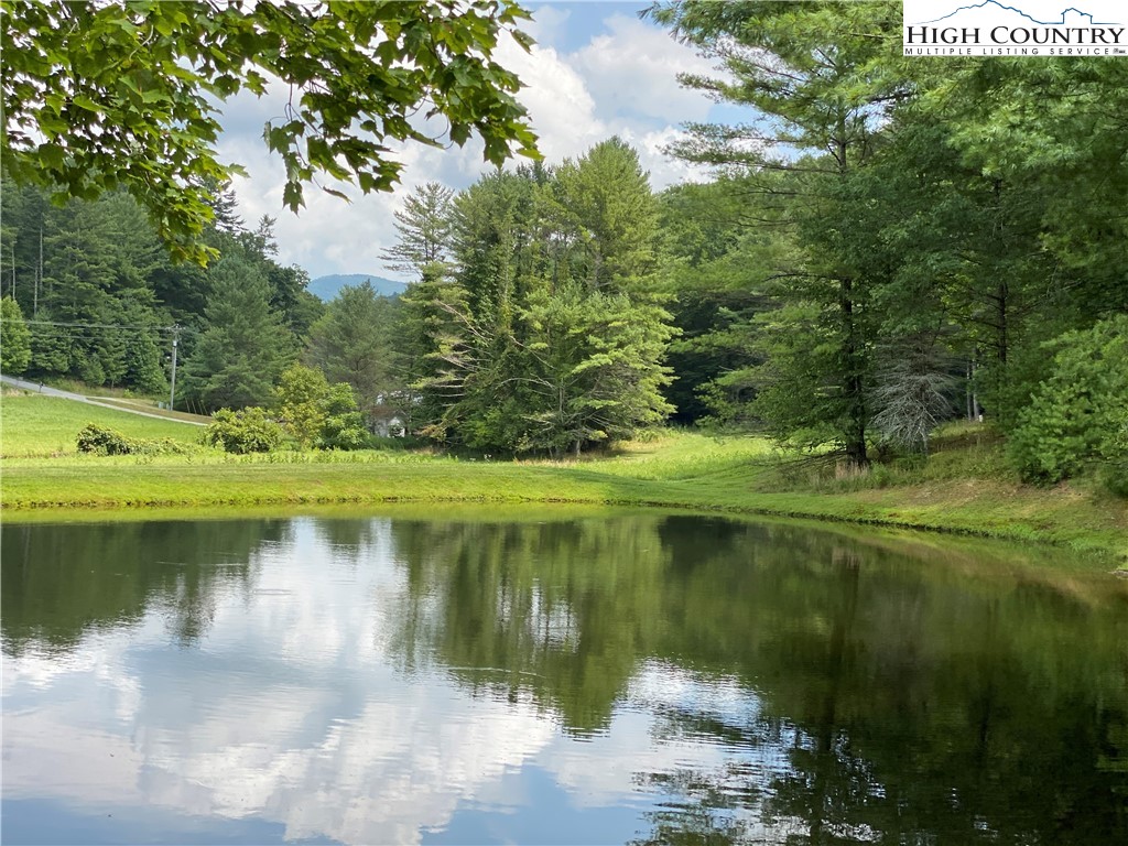 Vilas, North Carolina 28692, United States, ,Land,Active,67807