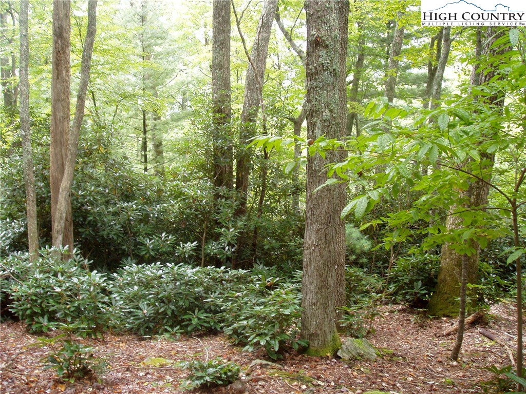 Vilas, North Carolina 28692, United States, ,Land,Active,67807