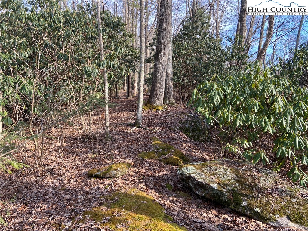 Vilas, North Carolina 28692, United States, ,Land,Active,67807