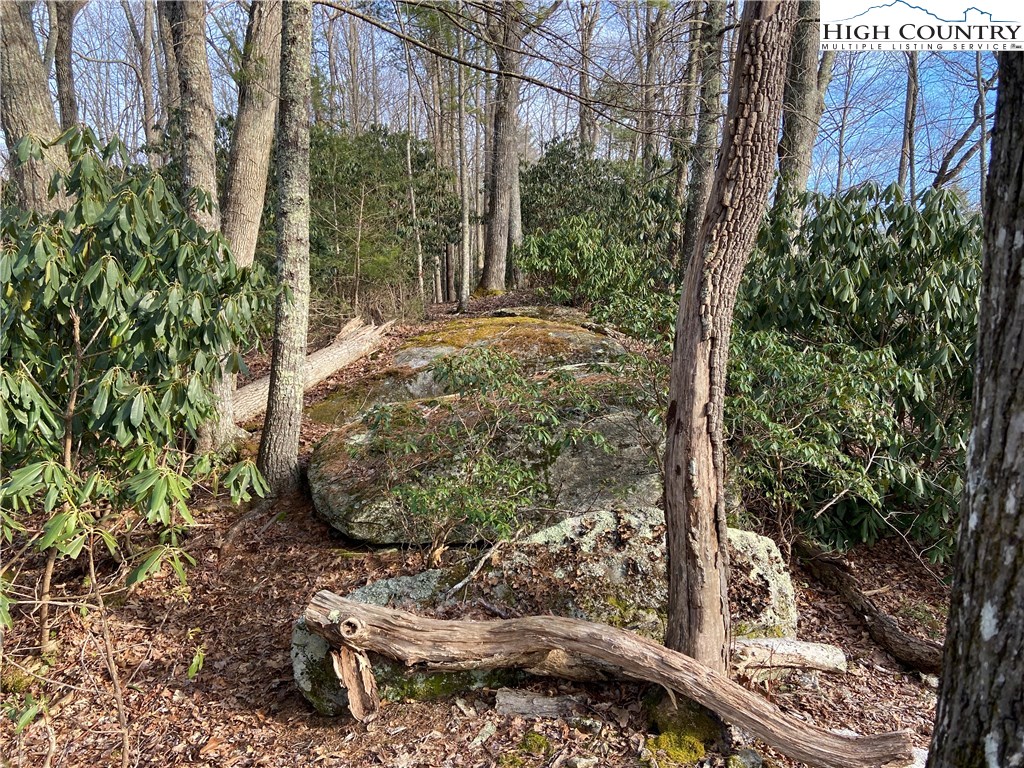 Vilas, North Carolina 28692, United States, ,Land,Active,67807