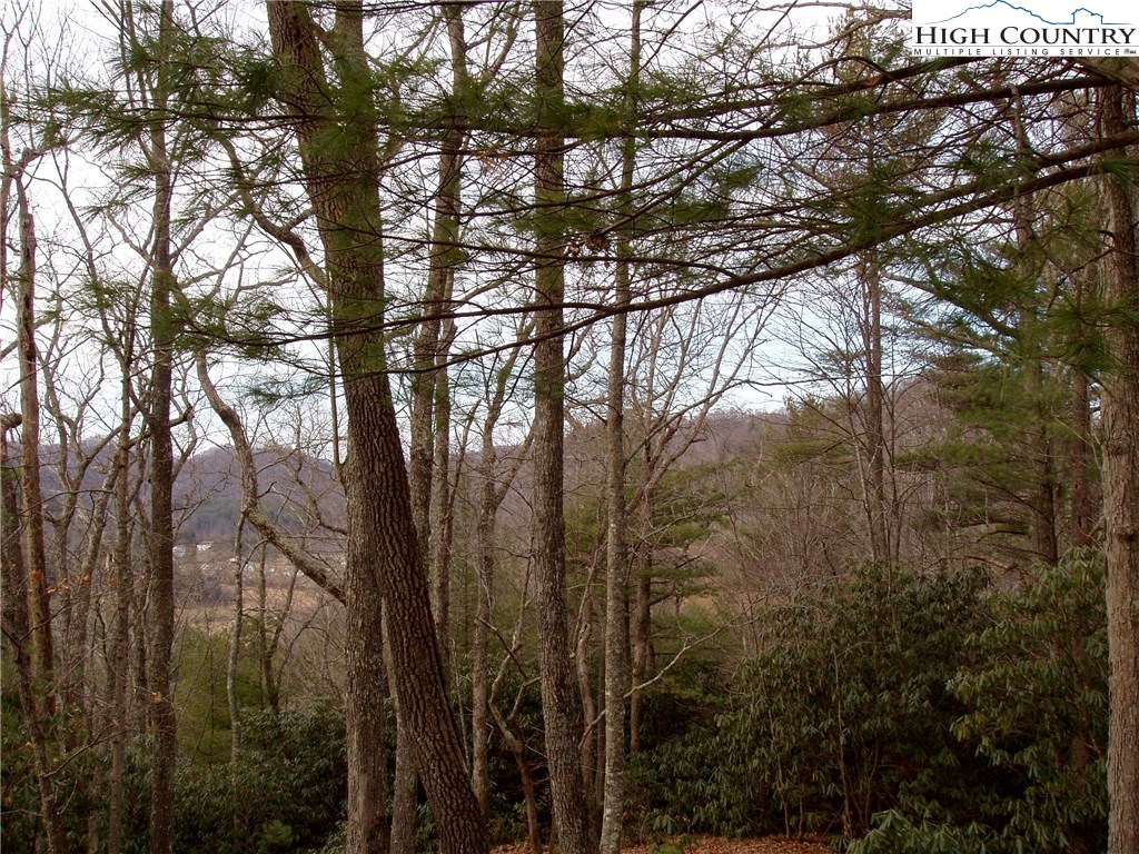 Vilas, North Carolina 28692, United States, ,Land,Active,67807