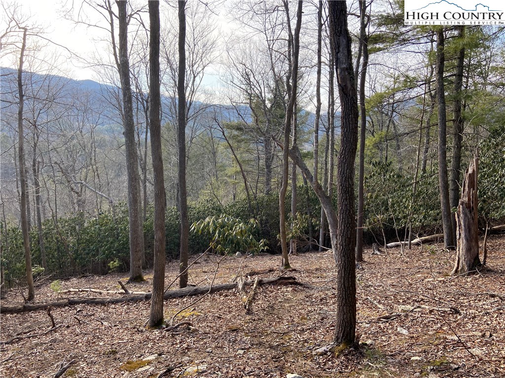 Vilas, North Carolina 28692, United States, ,Land,Active,67807