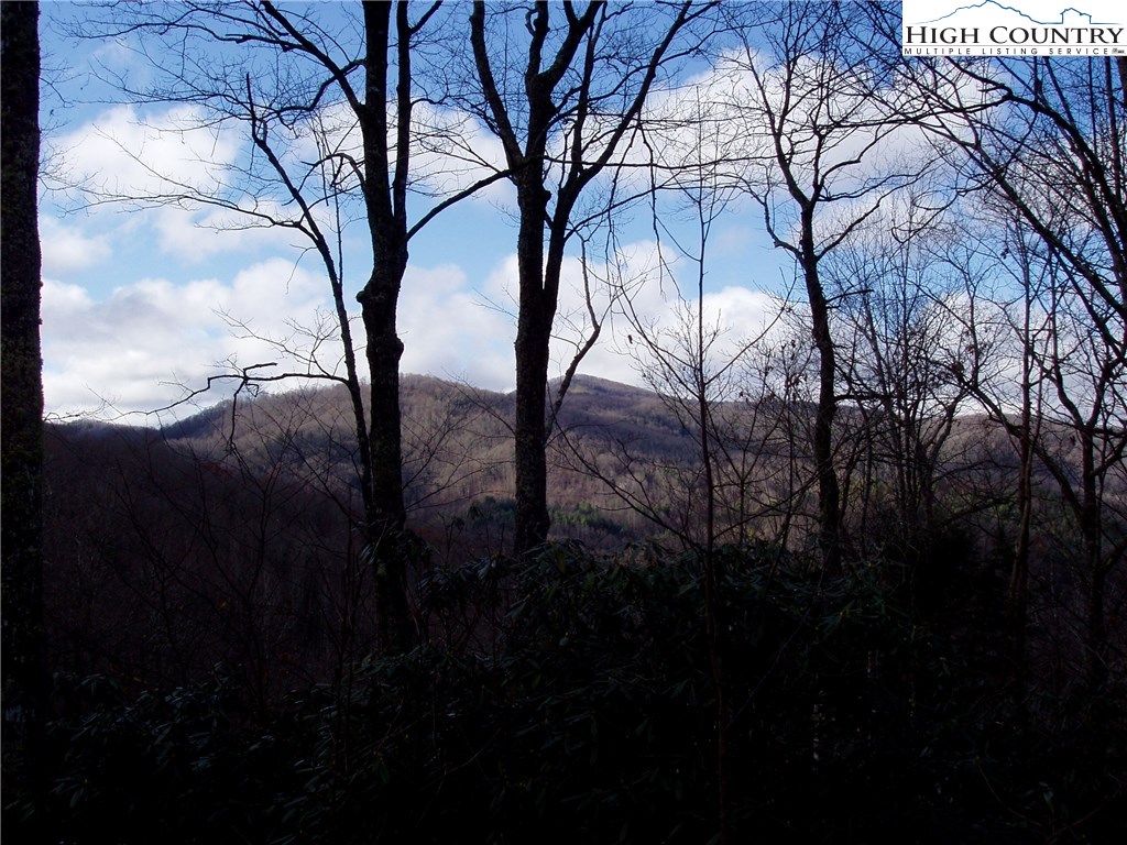 Vilas, North Carolina 28692, United States, ,Land,Active,67807