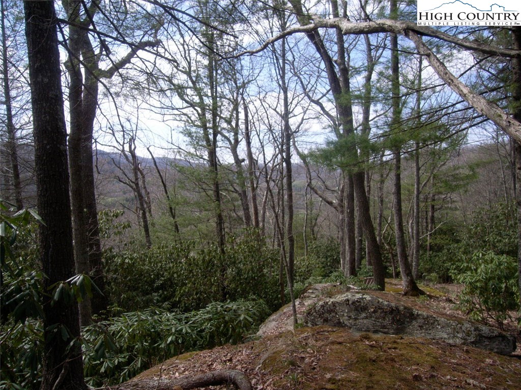 Vilas, North Carolina 28692, United States, ,Land,Active,67807