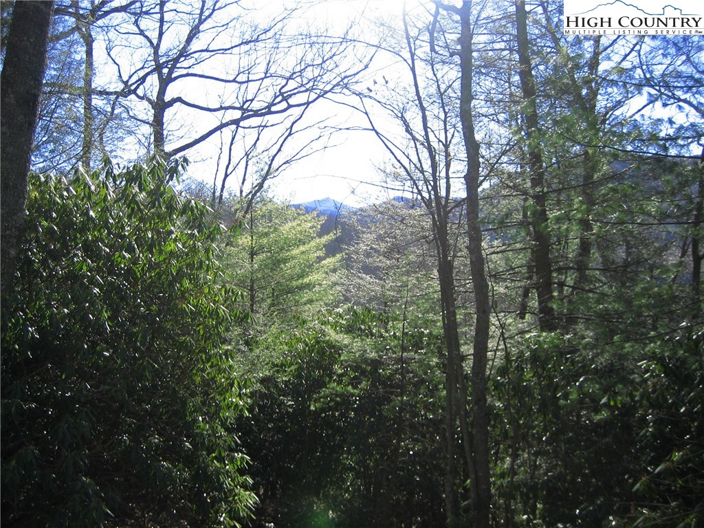 Vilas, North Carolina 28692, United States, ,Land,Active,67807