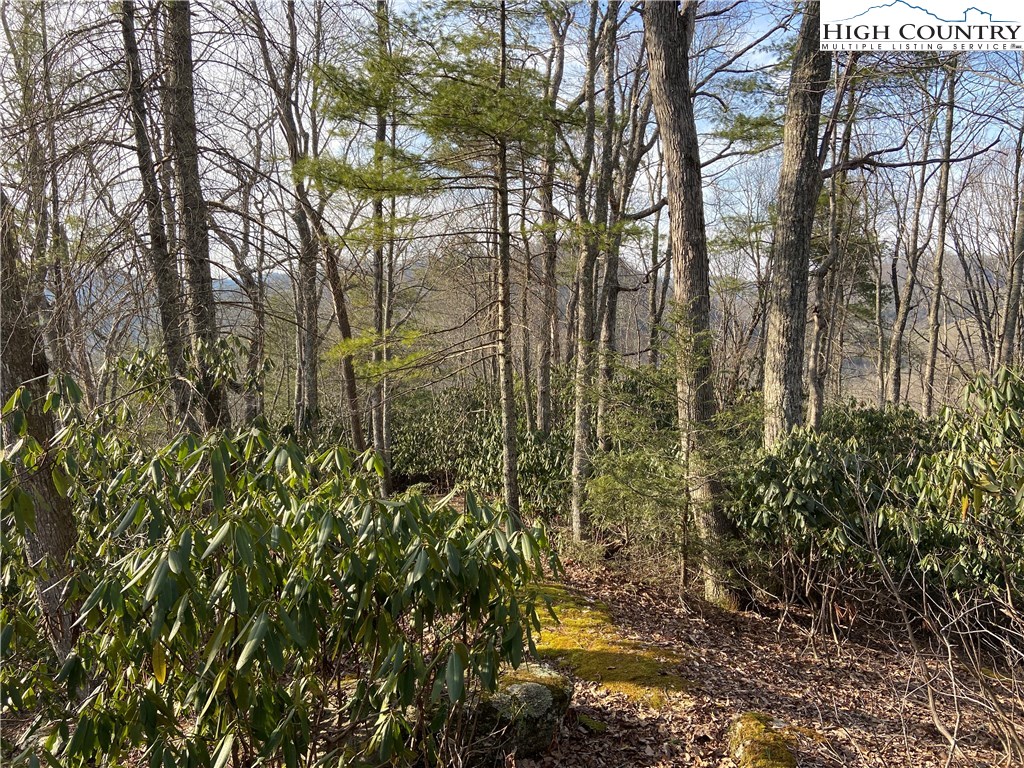 Vilas, North Carolina 28692, United States, ,Land,Active,67807