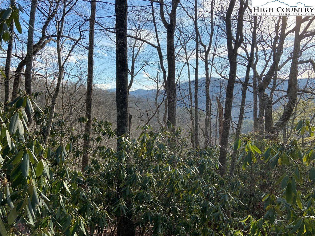 Vilas, North Carolina 28692, United States, ,Land,Active,67807