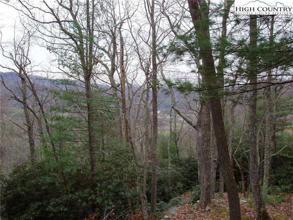 Vilas, North Carolina 28692, United States, ,Land,Active,67807