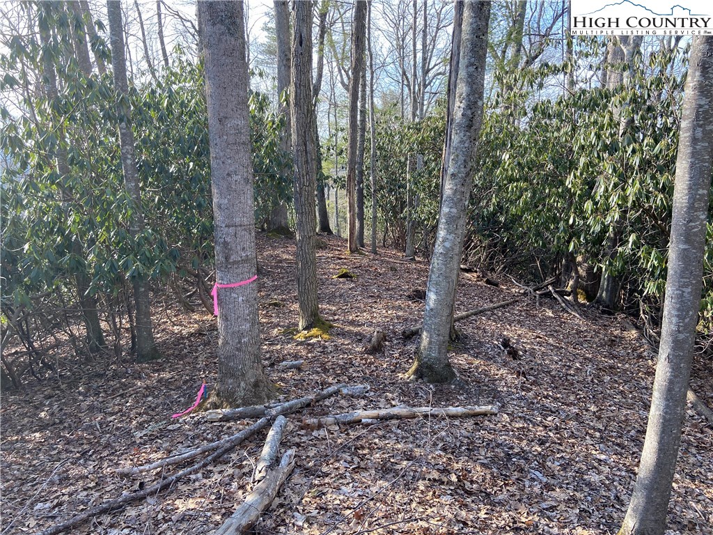 Vilas, North Carolina 28692, United States, ,Land,Active,67807