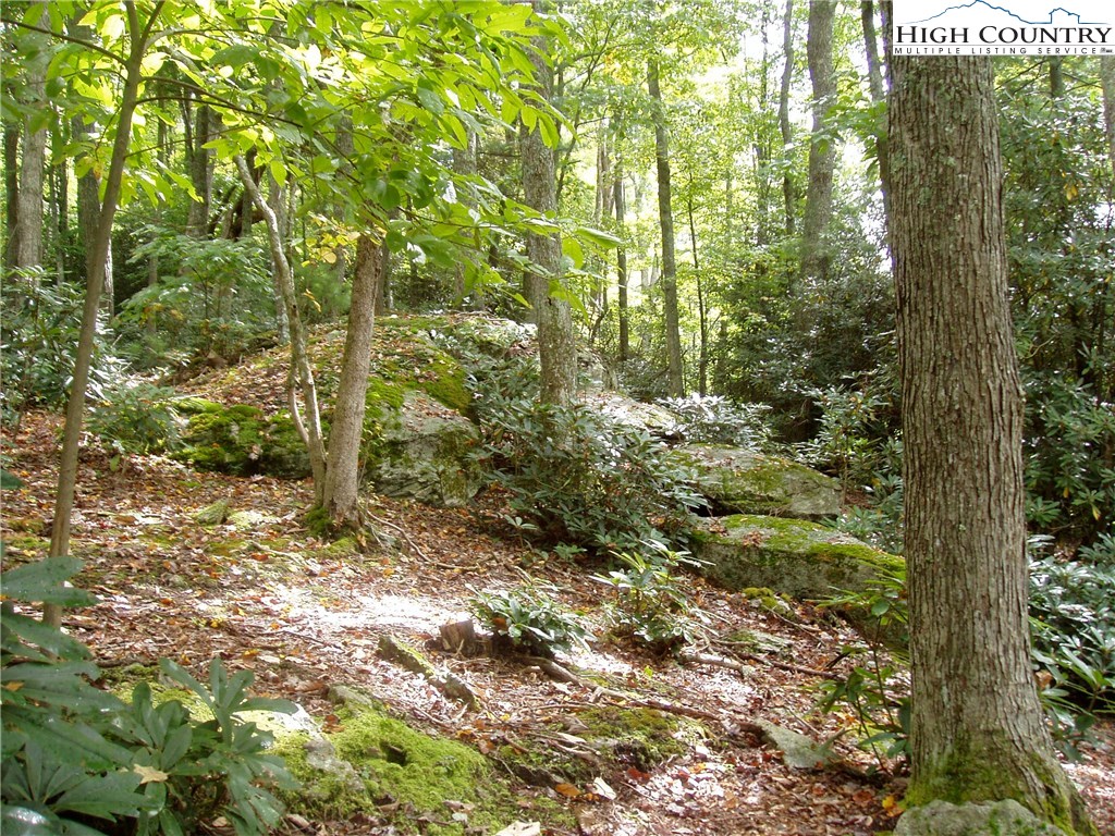 Vilas, North Carolina 28692, United States, ,Land,Active,67807