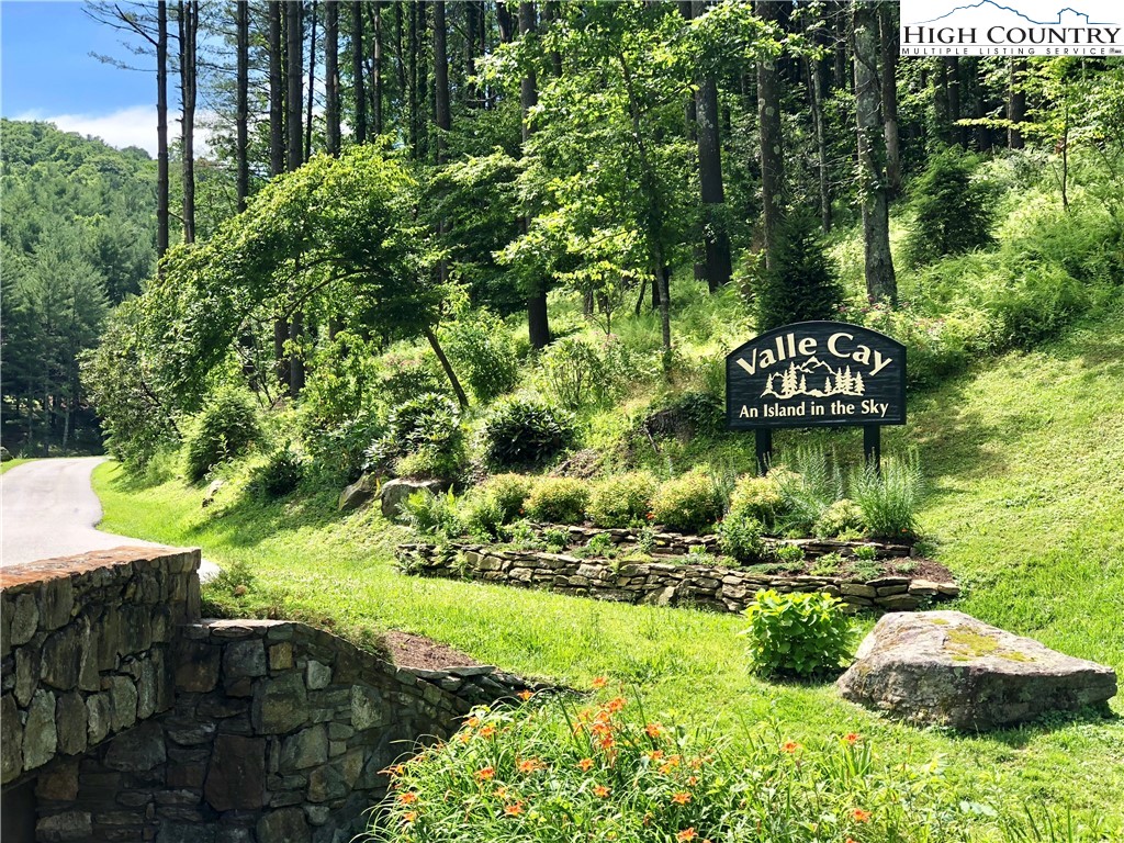 Vilas, North Carolina 28692, United States, ,Land,Active,67807