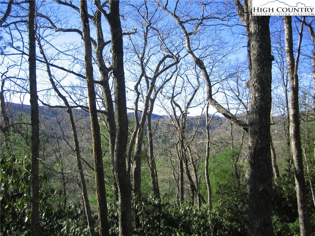 Vilas, North Carolina 28692, United States, ,Land,Active,67807