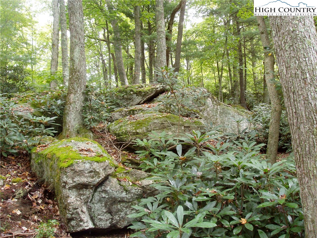 Vilas, North Carolina 28692, United States, ,Land,Active,67807