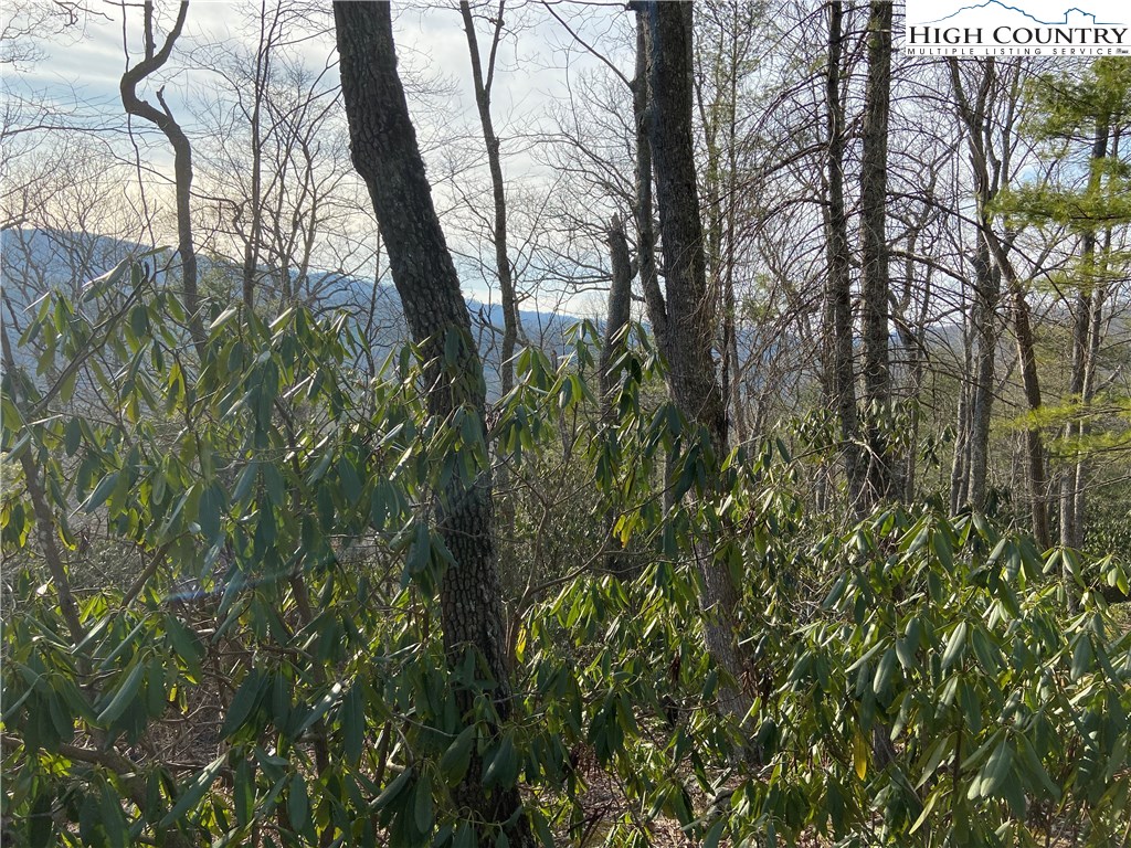 Vilas, North Carolina 28692, United States, ,Land,Active,67807