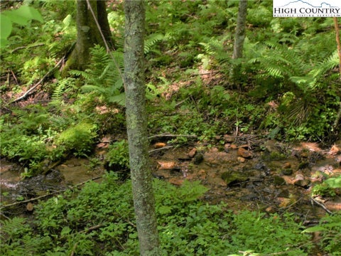 Photo for TBD Pine Knoll Dr