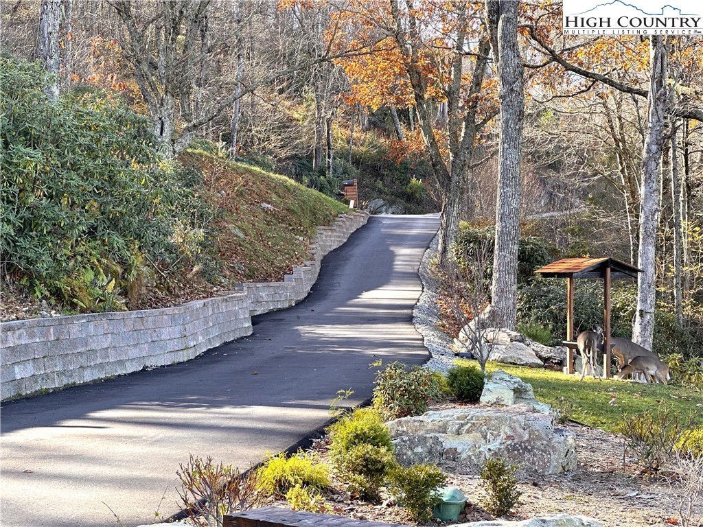 Boone, North Carolina 28607, United States, 3 Bedrooms Bedrooms, ,3 BathroomsBathrooms,Residential,Active,90648