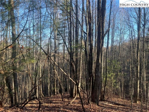 Vacant Land For Sale - 306 Marshalls Way<br/> Jefferson, NC 28640