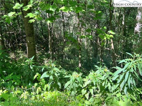 Photo of Lot 7 Old Barn Road, Vilas, NC 28692 (MLS # 257670)