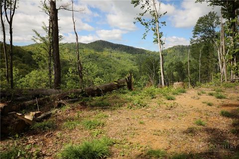 Photo of 461 Reuben Wooten Road, Banner Elk, NC 28604 (MLS # 261574)