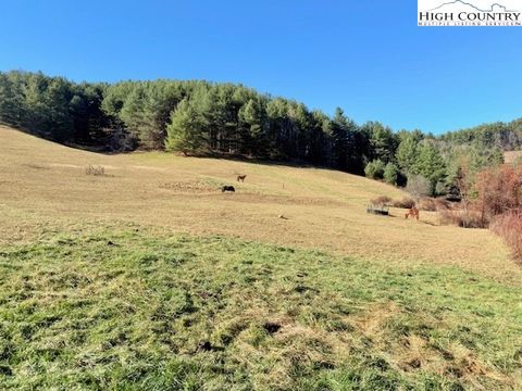Photo of TBD (14.53 +/- acres) Hartzog Ford Road, West Jefferson, NC 28694 (MLS # 259289)