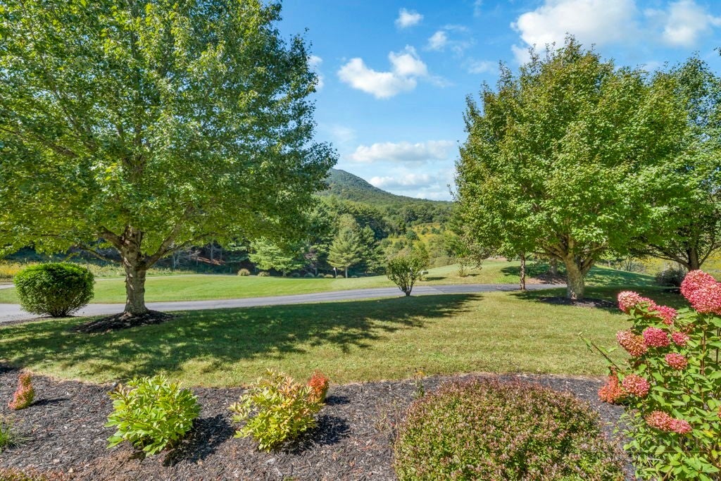 177 Amberidge Dr