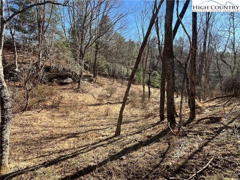 Photo of Lot#42 Isabelle Rose Way, Piney Creek, NC 28663 (MLS # 260254)