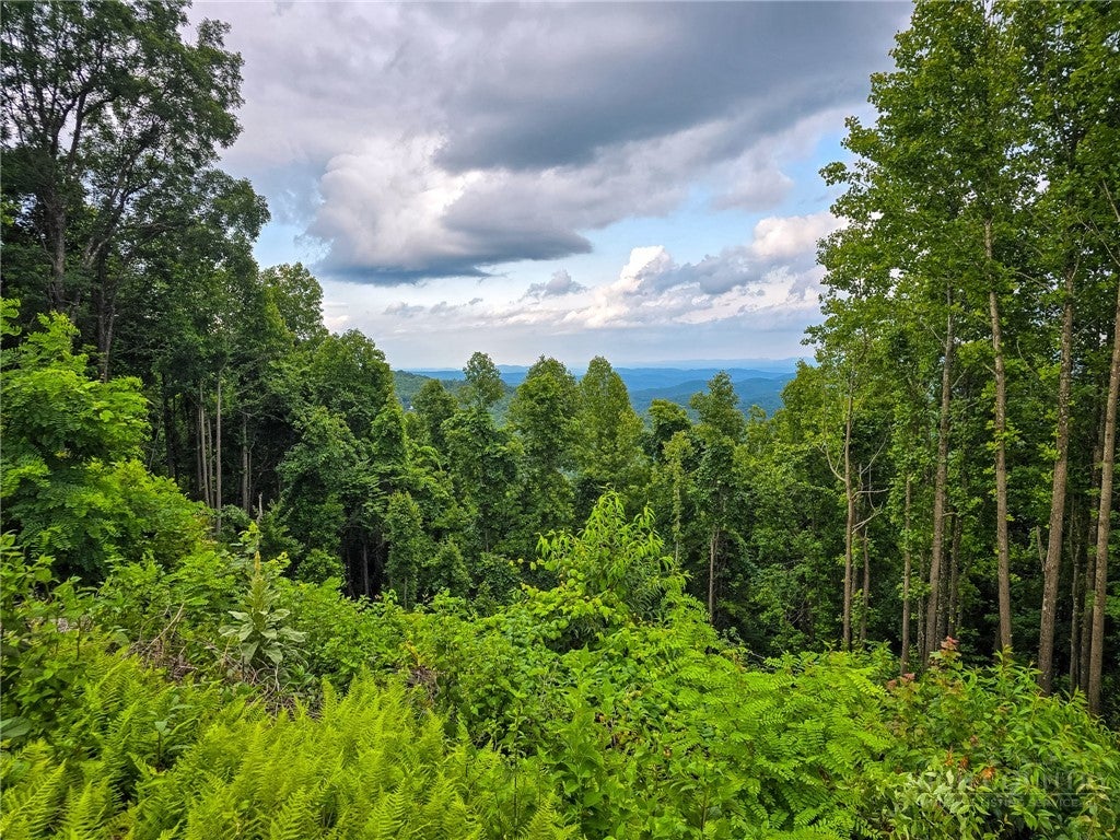 148 Angelfire Trail