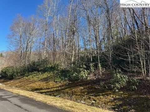 Photo of TBD Lot 43 Linville River Lane, Linville, NC 28646 (MLS # 253523)