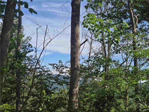 Vacant Land For Sale - TBD Green Cove Road<br/> Avery County, Sugar Mountain, NC 28604