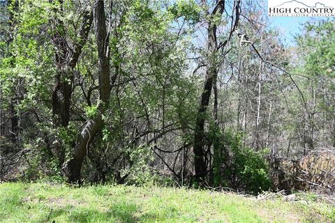 Photo of 15A River Bend Hills Road, Crumpler, NC 28617 (MLS # 254799)