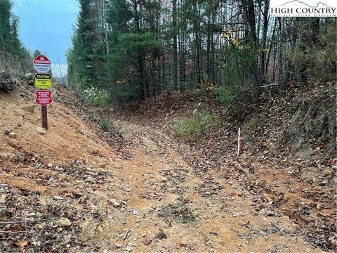 Photo of TBD BUCKWHEAT Road, McGrady, NC 28649 (MLS # 252113)
