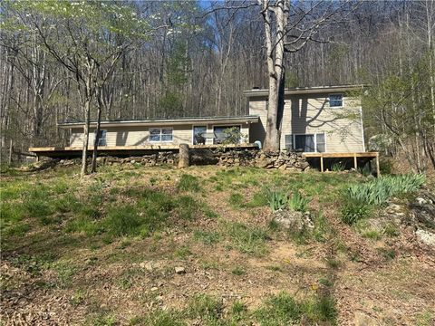 Photo of 1181 Big Plumtree Creek Road, Newland, NC 28657 (MLS # 261268)