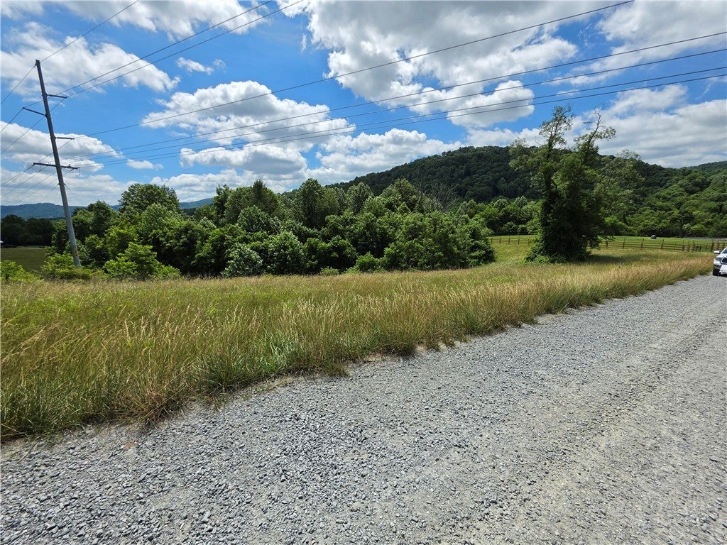 Lot 4 toms Knob Road 4