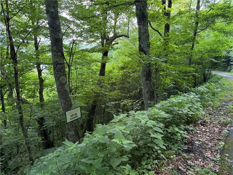 Vacant Land For Sale - TBD Crown Spruce Lane<br/> West Jefferson, NC 28694