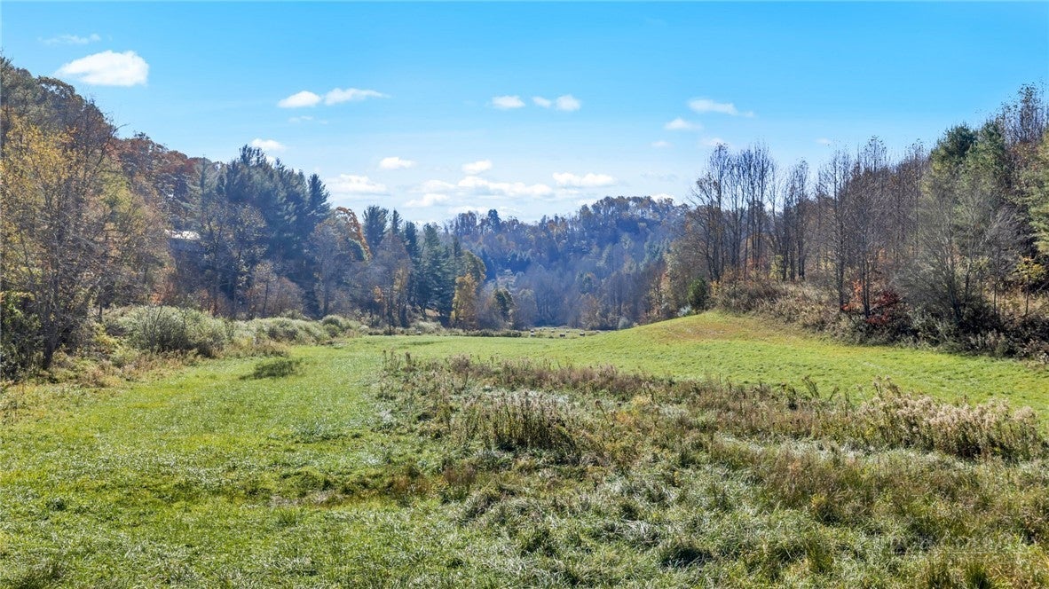 TBD Brushy Fork Road